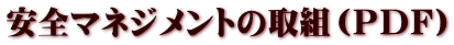 S}lWg̎giocej